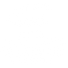 Genius Gourmet Inc